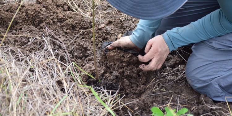 Comienza proceso de recuperación de terrenos afectados por incendios en Natagaima 