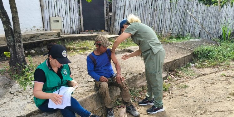 Vacunación en municipios afectados por fiebre amarilla ya llega a un 80%