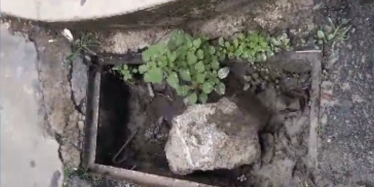 Denuncian robo de tapas de alcantarillas en Ibagué 2.000