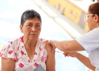 La Alcaldía de Ibagué emitió alerta para contrarrestar la posible llegada de la fiebre amarilla