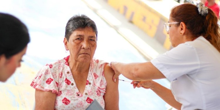 La Alcaldía de Ibagué emitió alerta para contrarrestar la posible llegada de la fiebre amarilla