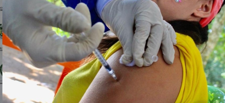 La USI realizará jornadas de vacunación contra la fiebre amarilla