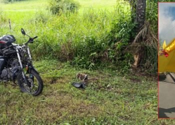 Jordy falleció al chocar contra un árbol en la vía a Alvarado