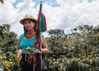 Más de 10.000 millones de pesos serán invertidos en la transformación productiva de café en proyectos emprendidos por mujeres en el Tolima 