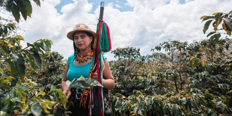 Más de 10.000 millones de pesos serán invertidos en la transformación productiva de café en proyectos emprendidos por mujeres en el Tolima 