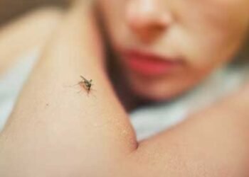 Conozca los síntomas de la fiebre amarilla