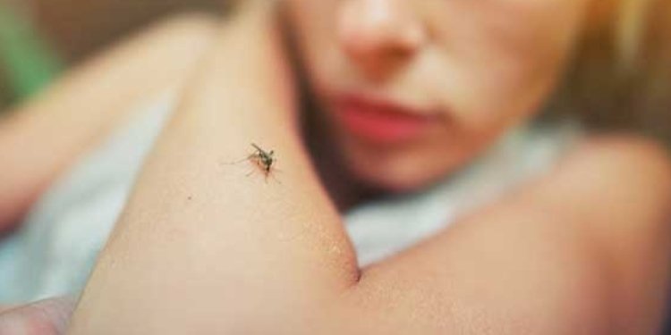 Conozca los síntomas de la fiebre amarilla