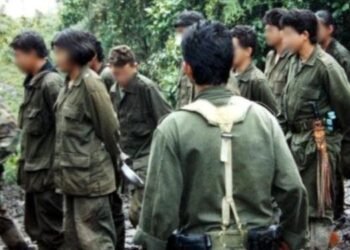 Cerca de 14 menores de edad han sido rescatados del reclutamiento forzado en el Tolima 