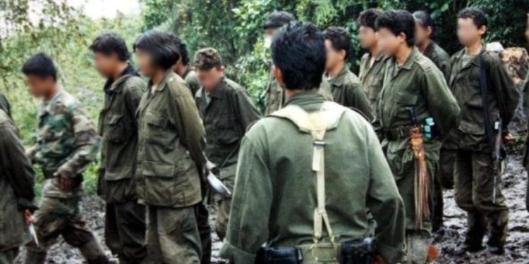 Cerca de 14 menores de edad han sido rescatados del reclutamiento forzado en el Tolima 