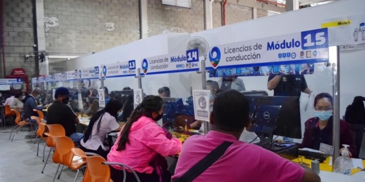 Suspendido por tres meses funcionario de la Secretaría de Movilidad por maltratar a sus compañeras