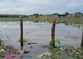 Autoridades en el Tolima entregan balance de emergencias atendidas en el inicio del mes de diciembre y reporte de alertas a nivel nacional 