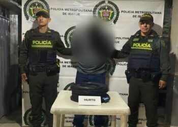 Detenido intentando sustraer dos rollos de alambre en un furgón en un almacén de cadena