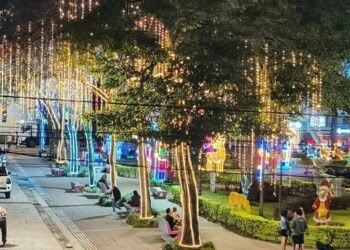 Todo listo para encender el alumbrado navideño en Ibagué