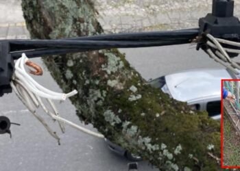 Hay preocupación porque de nuevo fue vandalizado el alumbrado navideño en Ibagué