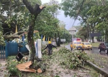 Los Bomberos atendieron diferentes emergencias por las fuertes lluvias