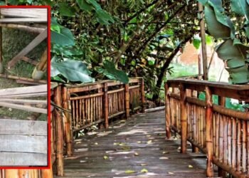 Mujer asegura que siete personas cayeron de un puente de madera en un parque temático en Ibagué