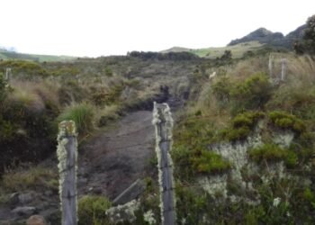 Reserva El Toro ya tiene plan de manejo ambiental por parte de las autoridades en el Tolima 