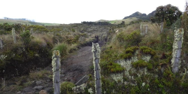 Reserva El Toro ya tiene plan de manejo ambiental por parte de las autoridades en el Tolima