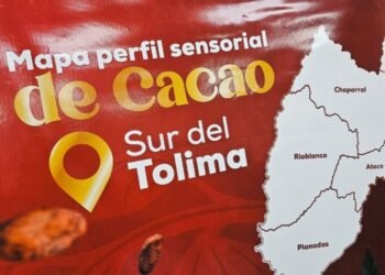 El departamento del Tolima comienza a fortalecer el mercado del cacao en el sur 
