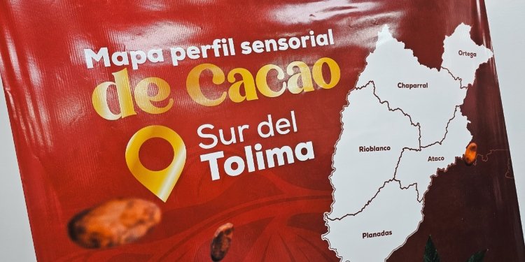 El departamento del Tolima comienza a fortalecer el mercado del cacao en el sur 