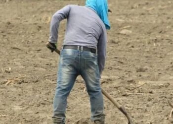 La seguridad en el campo se ha deteriorado y esto ha hecho que los dueños de fincas no las visiten con frecuencia