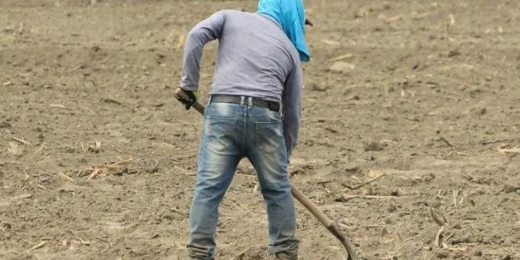 La seguridad en el campo se ha deteriorado y esto ha hecho que los dueños de fincas no las visiten con frecuencia