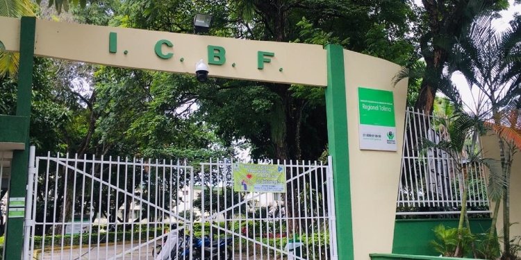“Es importante reiterar que se debe llevar el niño para proteger la salud”, directora del ICBF en el Tolima