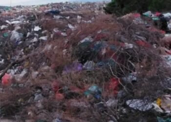 Relleno sanitario de Ortega está cerrado hace dos años