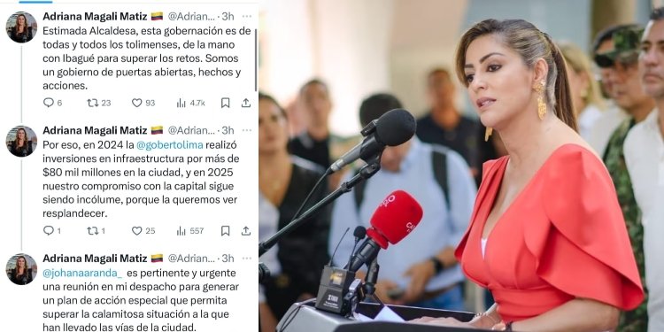 Gobernadora del Tolima solicitó reunión urgente con la Alcaldesa de Ibagué 