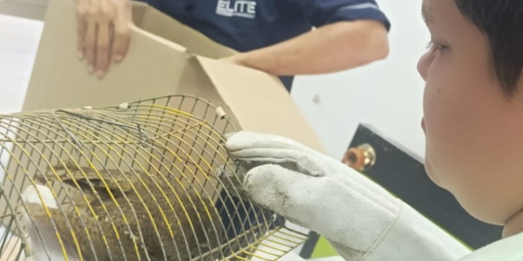 Falan fortalece estrategias de protección animal en su municipio