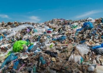 La Procuraduría señaló que urge medidas ante el incremento de quejas en recolección de basuras en el Tolima