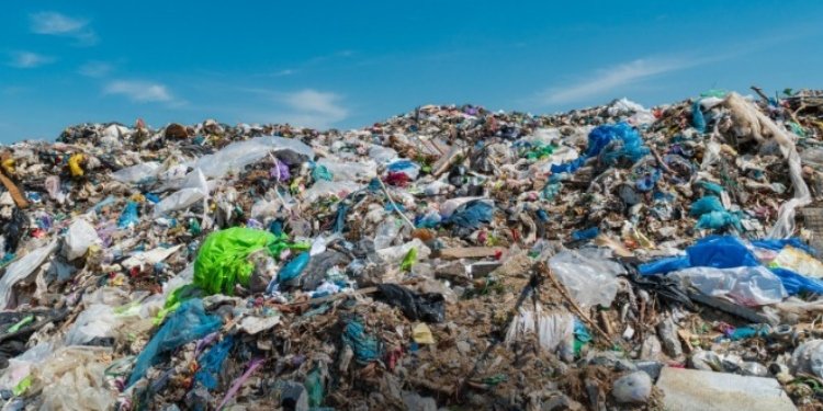 La Procuraduría señaló que urge medidas ante el incremento de quejas en recolección de basuras en el Tolima