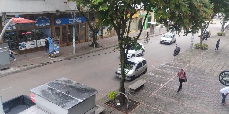 Comerciantes de Ibagué hacen un llamado a la Alcaldía a fumigar para combatir las plagas que están en las calles