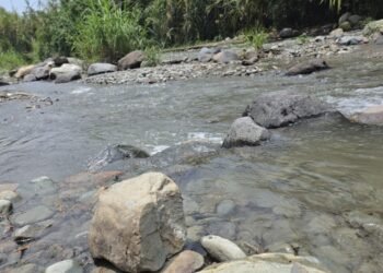 Llamado al cuidado del río Combeima durante los paseos de olla