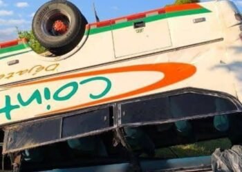 Bus intermunicipal chocó contra un búfalo en el sur del Tolima