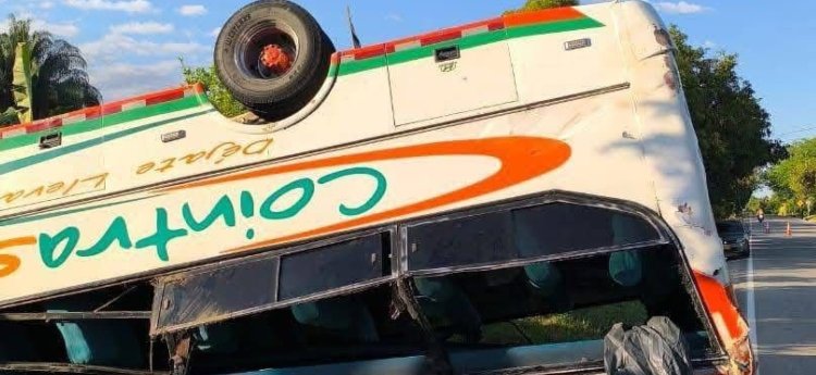 Bus intermunicipal chocó contra un búfalo en el sur del Tolima