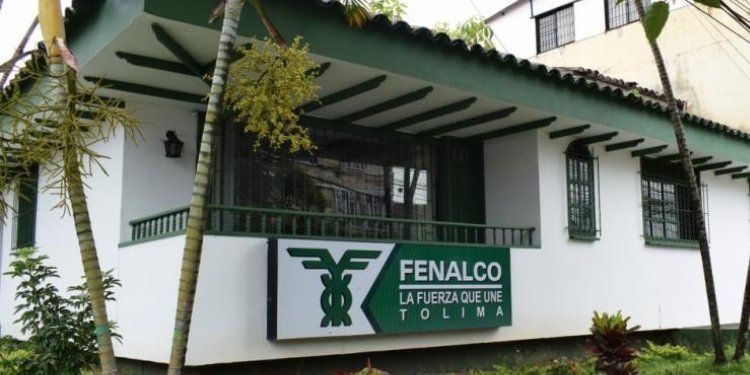 En febrero se conocería el nombre del nuevo Director de Fenalco Tolima