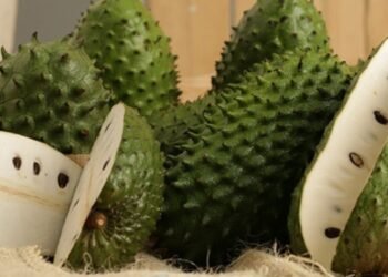 Tolima y Cundinamarca se asocian para beneficiar a pequeños productores  en la región 