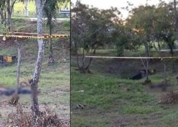 Habitante en condición de calle fue hallado sin vida en la glorieta