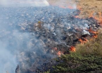 Incendio forestal afecta la reserva El Toro en Murillo 