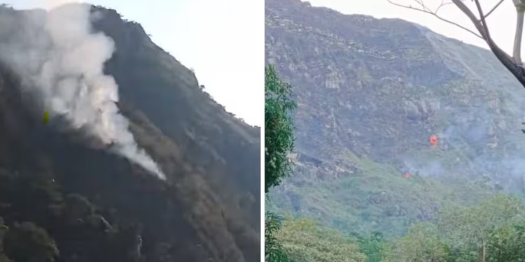 Autoridades en Prado continúan con la atención de incendio en zona rural de esta población