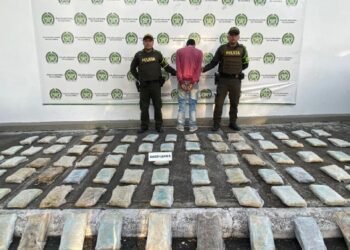 Descubren cerca de 50 kilos de droga en un bus de servicio público 