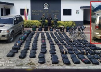 Incautan 415 kilos de marihuana en Valle de San Juan 