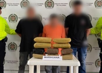 Capturado sujeto con 525 dosis de marihuana en el barrio Cerro Gordo