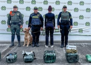 ‘Perla’ la canina de la Policía Metropolitana que olfateó 35 kilos de marihuana
