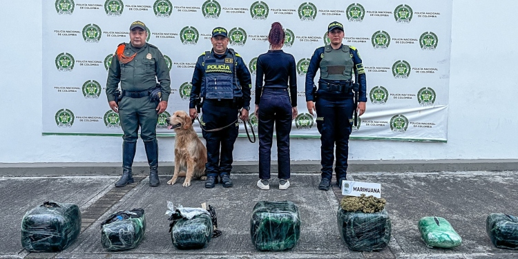 ‘Perla’ la canina de la Policía Metropolitana que olfateó 35 kilos de marihuana