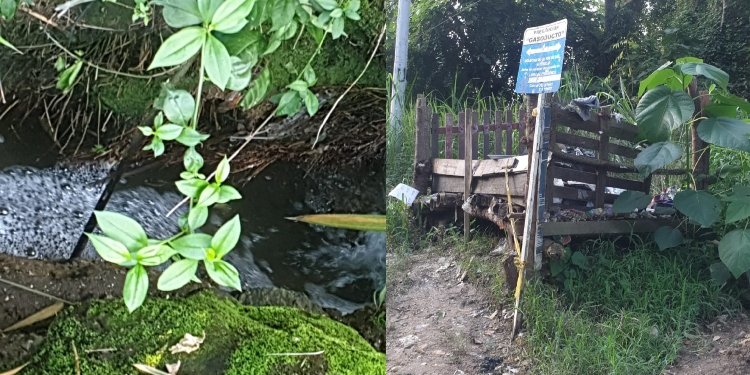 Residentes de la Samaria en Ibagué, denuncian posible contaminación del río Opia 