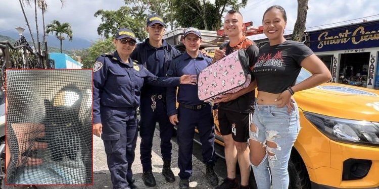 Bomberos de Ibagué rescataron a gato atrapado en un árbol de más de tres metros de altura
