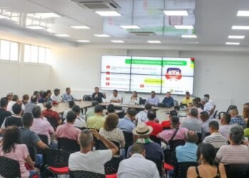 Empresas como Cotrautol y Expreso Ibagué no participarán en el paro de transportadores