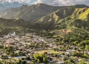 Dos hombres fueron condenados por tala indiscriminada en Rovira